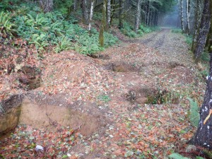 gopher hole decommission