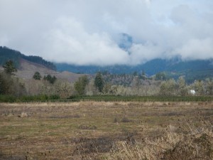 DSCN0348