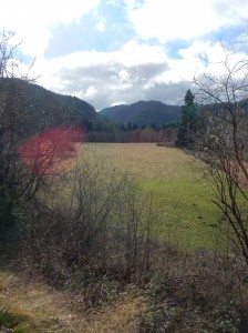 DSCN0356