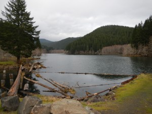 DSCN0371