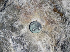 DSCN0442
