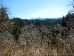 DSCN0447