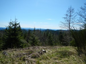 DSCN0453