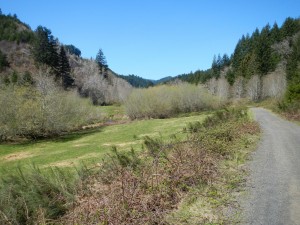 DSCN0455