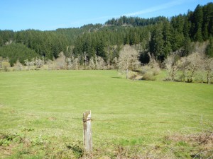 DSCN0456