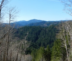 DSCN0459