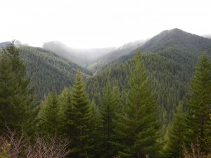 DSCN0508