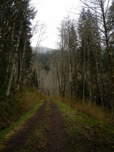DSCN0510