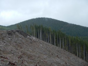 DSCN0514