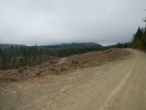 DSCN0525