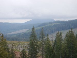 DSCN0529
