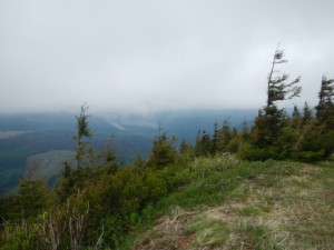 DSCN0535