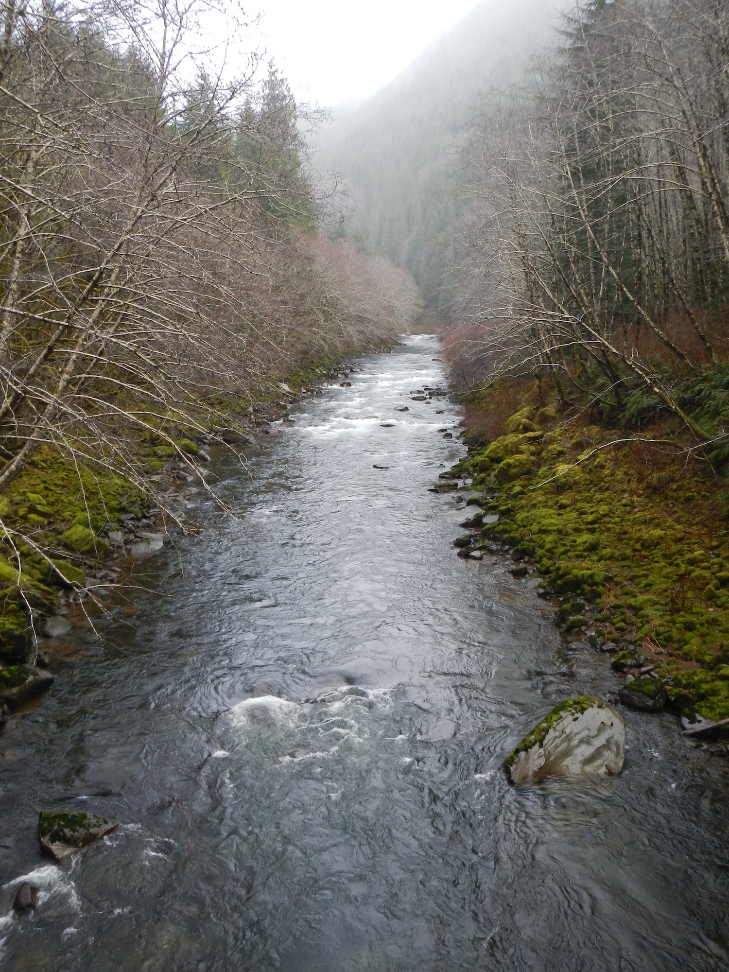 DSCN0662