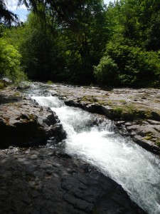 DSCN0765