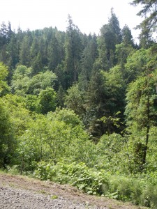 DSCN0766