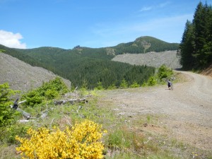DSCN0770