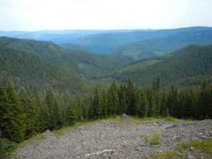 DSCN0792