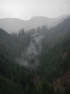 DSCN0876