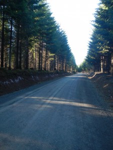 DSCN0882
