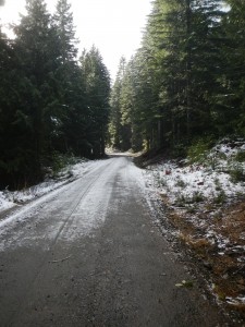 DSCN0910