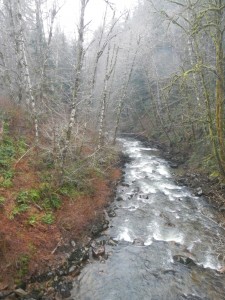 DSCN0912