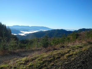DSCN0925